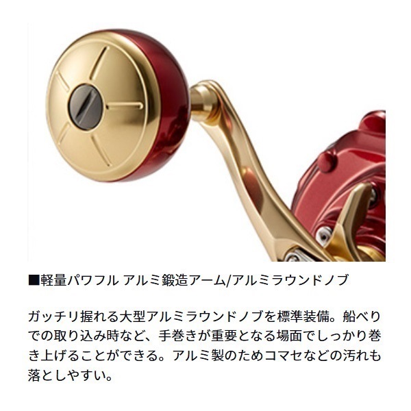 21シーボーグ